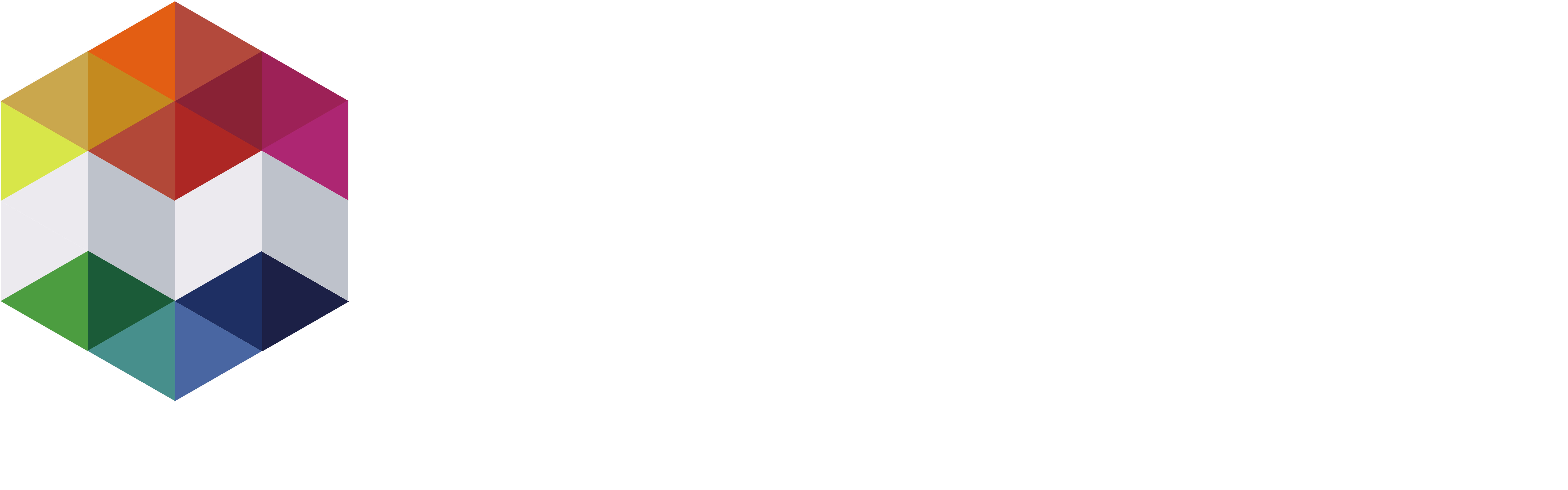 Rubixe Logo