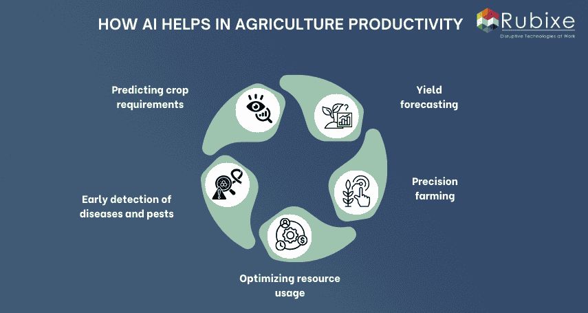 How AI Helps in Agriculture Productivity