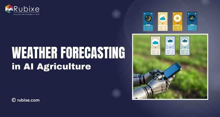 How Farmers Use AI Weather Forecasting in Agriculture