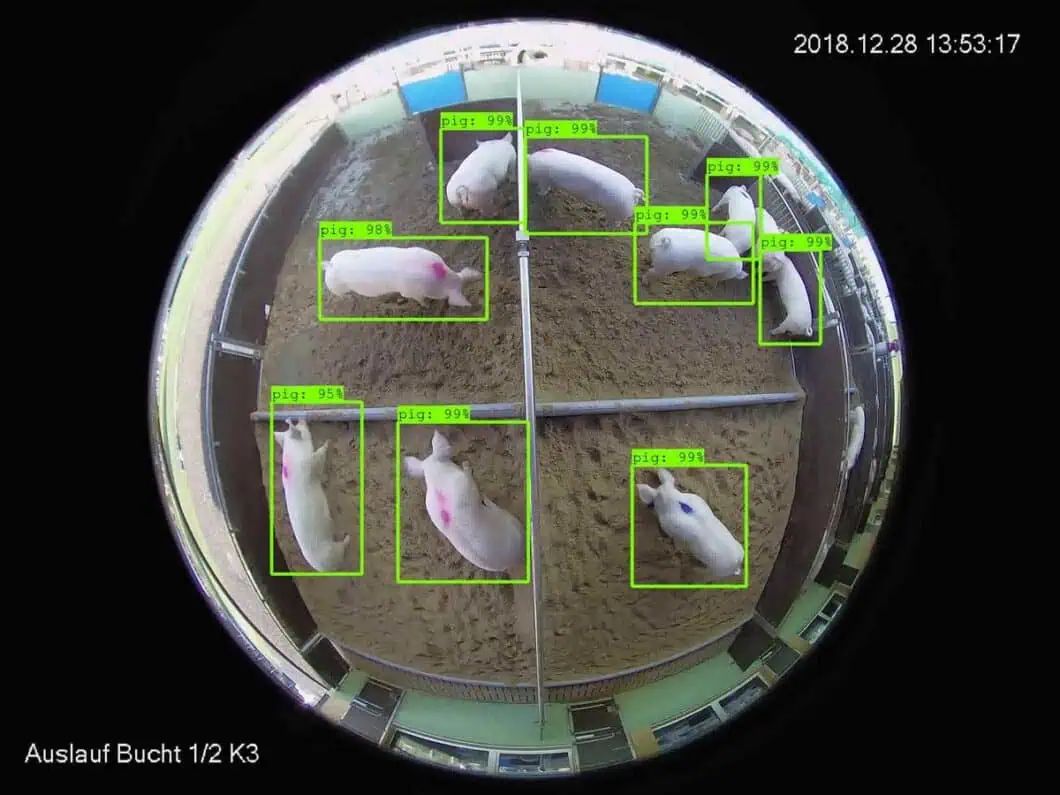 How Computer Vision Works in Agriculture