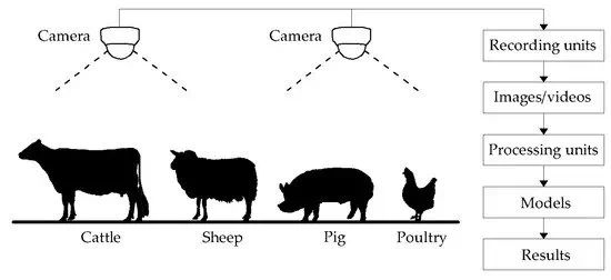 Computer Vision Systems in Livestock Farming