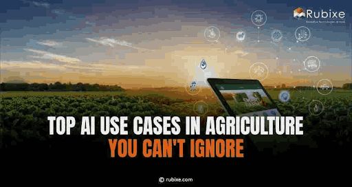 Top AI Use Cases in Agriculture You Can't Ignore